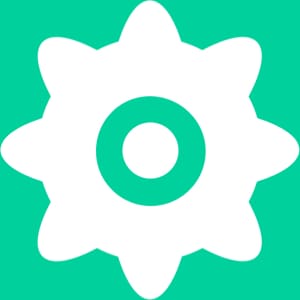 Posicionamiento Web